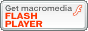 hier geht´s zum Macromedia Flash Player Download